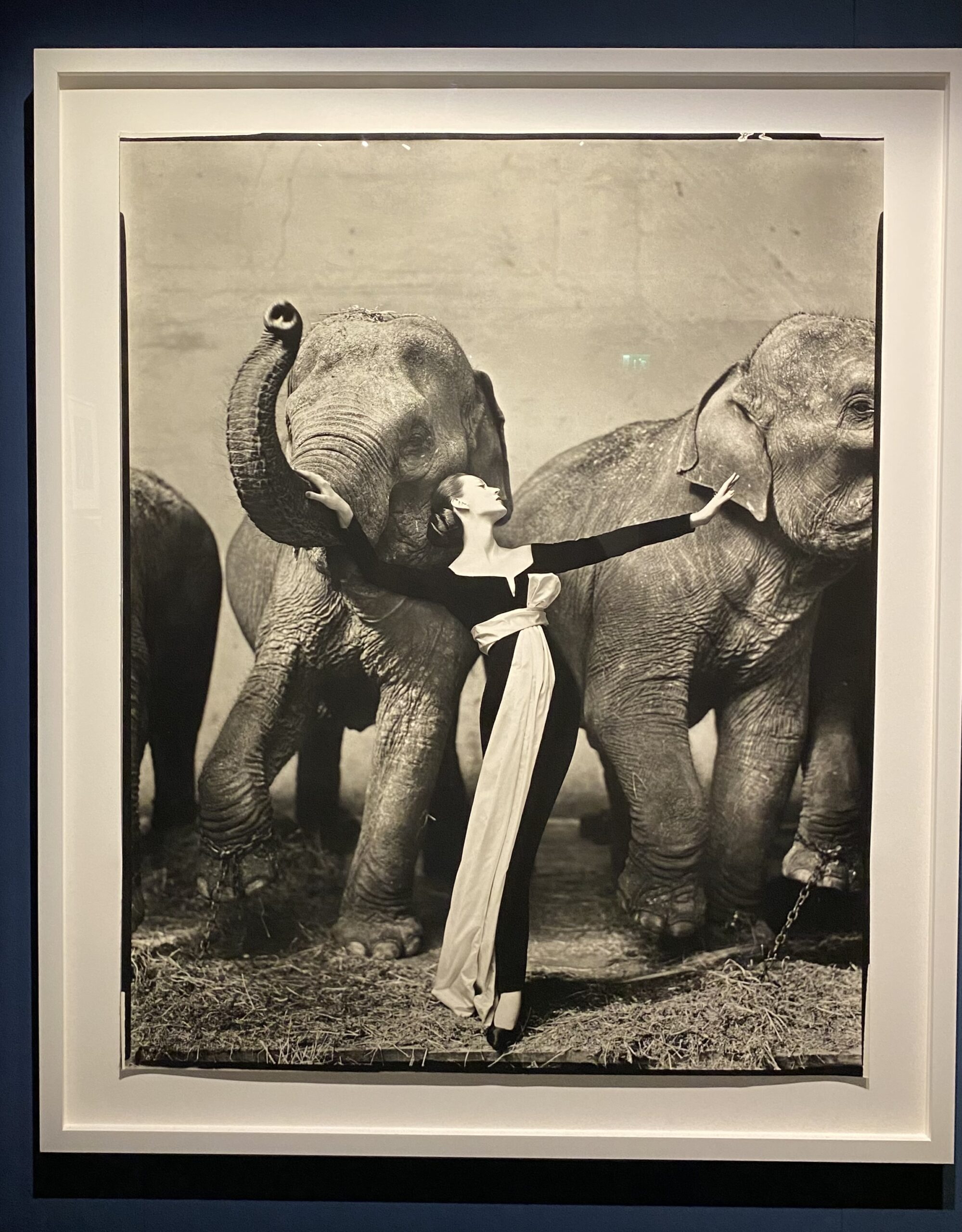 Mostra Richard Avedon Milano